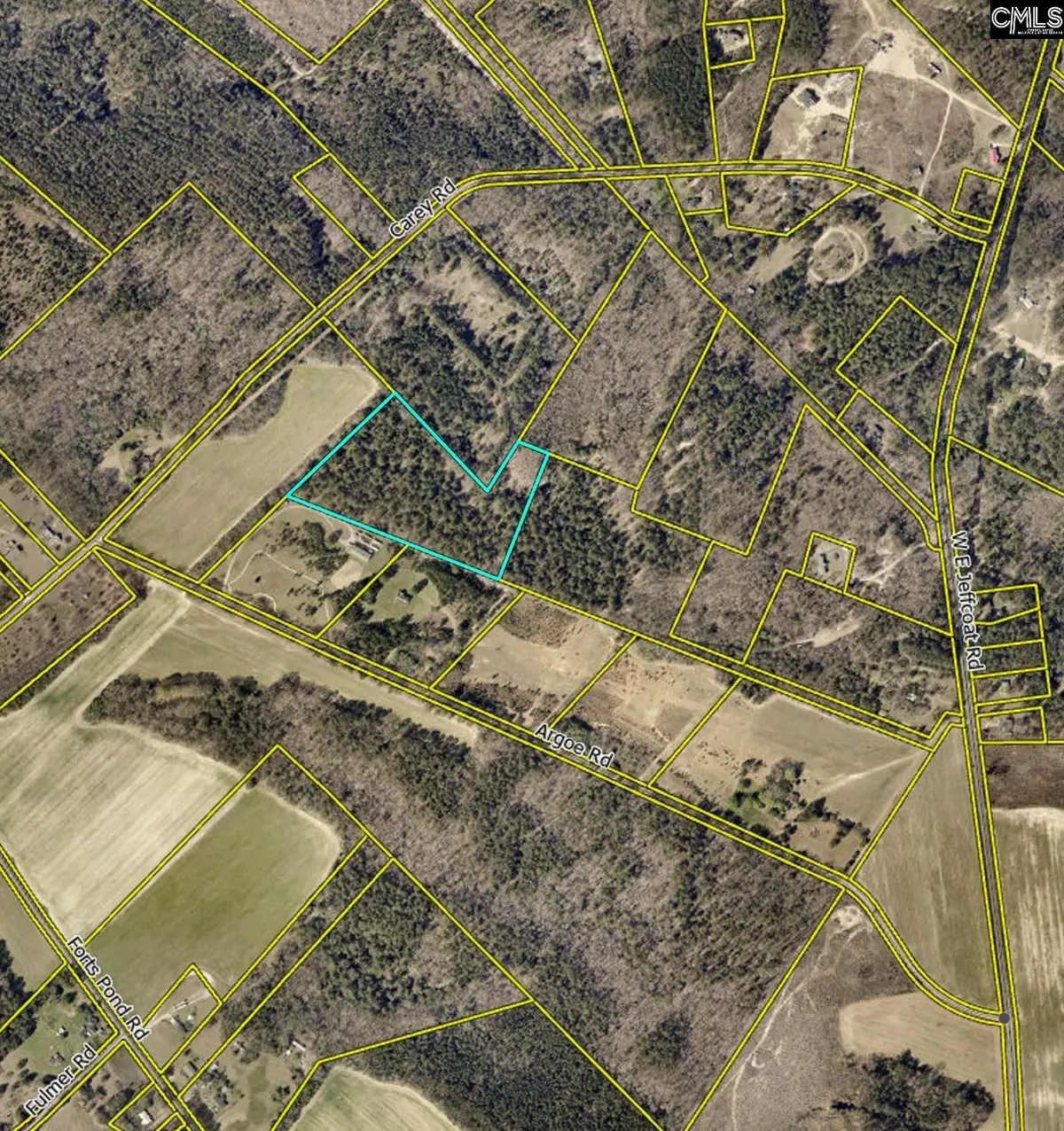 0 Argoe Road, Pelion, SC 29123 - Image #1