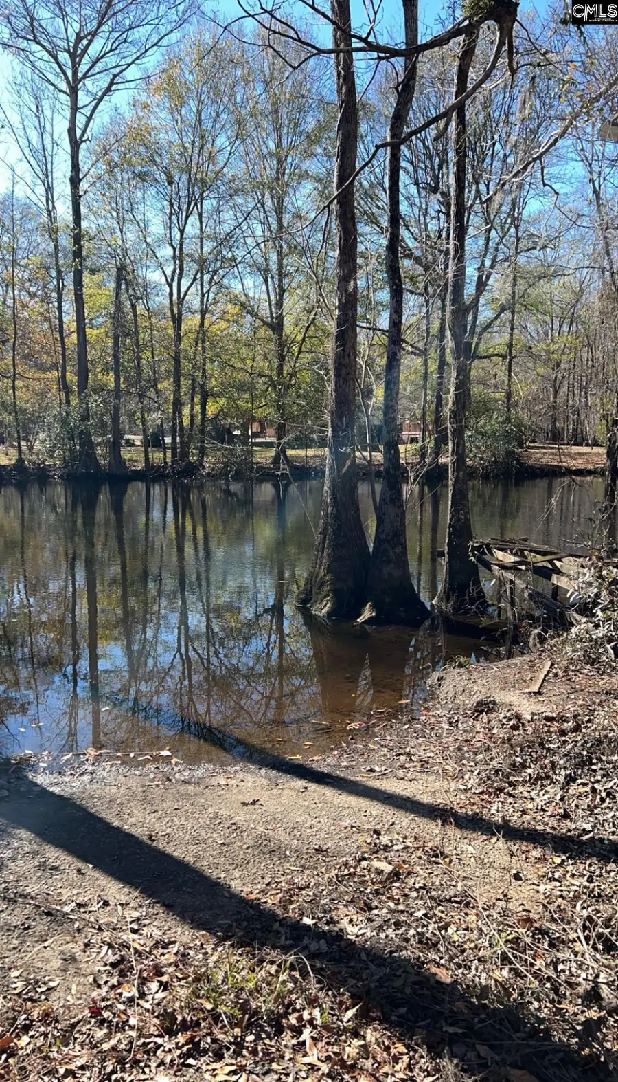 776 Shillings Bridge Road, Orangeburg, SC 29118 - Image #3