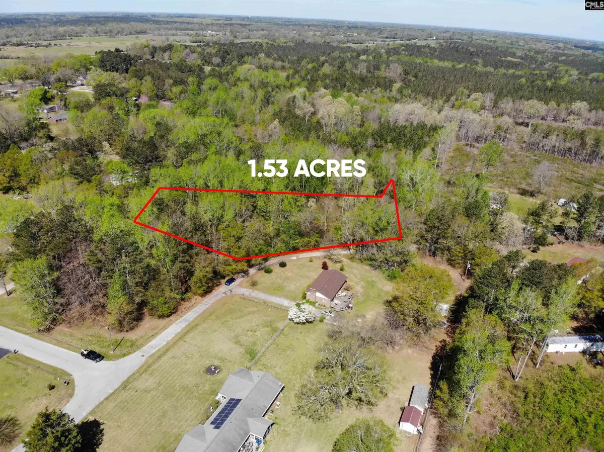 TBD James Road, Joanna, SC 29351 - Image #1