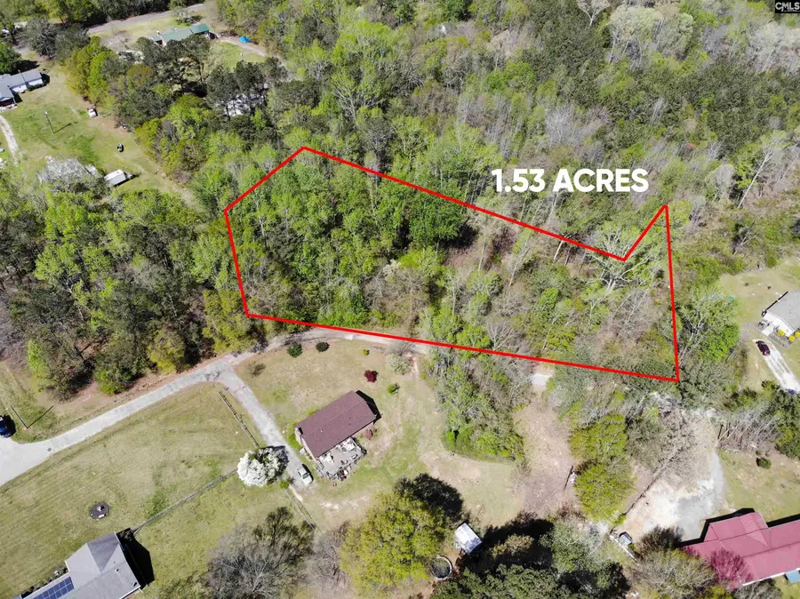 TBD James Road, Joanna, SC 29351 - Image #2