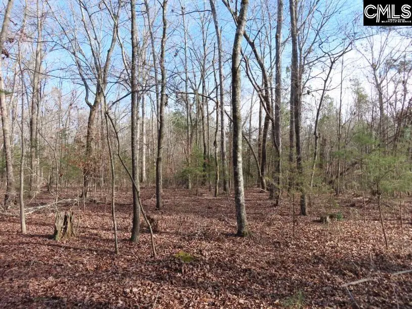 0 Rhinehart Road, Batesburg, SC 29006 - Image #2