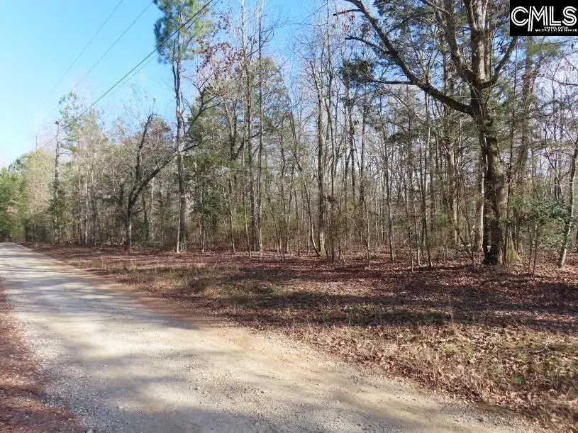 0 Rhinehart Road, Batesburg, SC 29006 - Image #3
