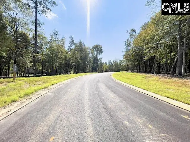 1029 Refuge Place, Chapin, SC 29036 - Image #3