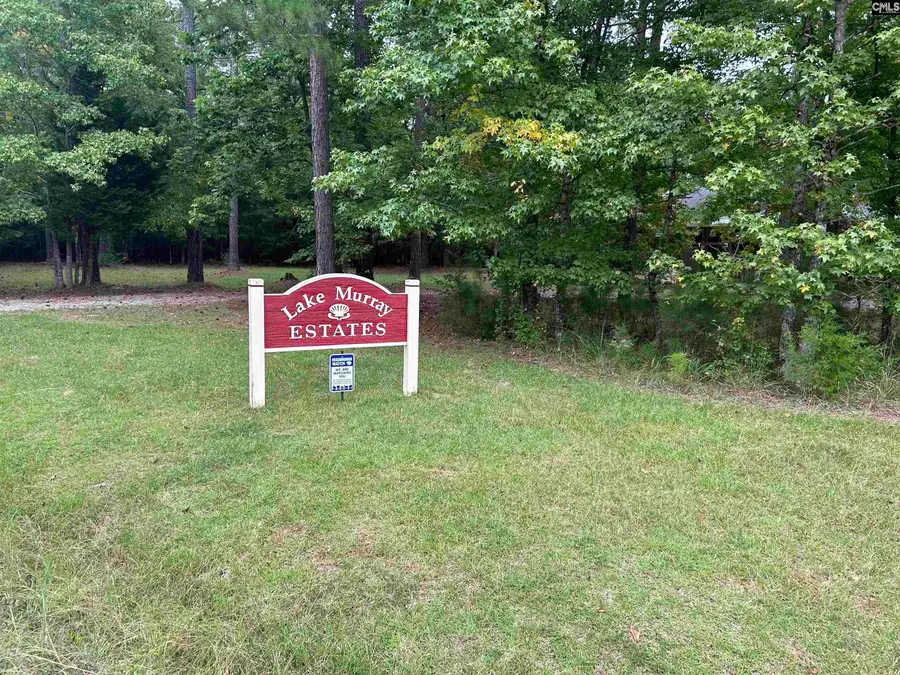 0 Little Saluda Lane, Batesburg, SC 29006 - Image #2