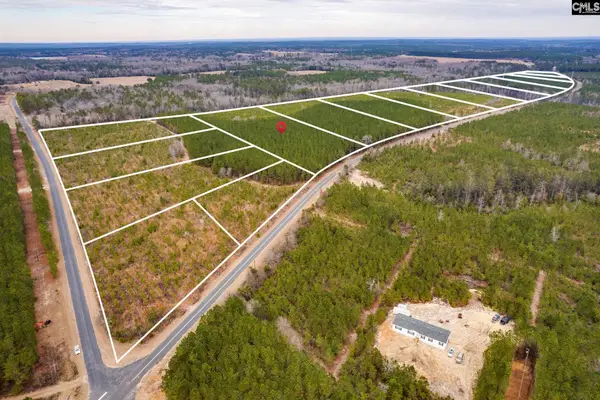 TBD Catalina Blvd Lot 10, Swansea, SC 29160