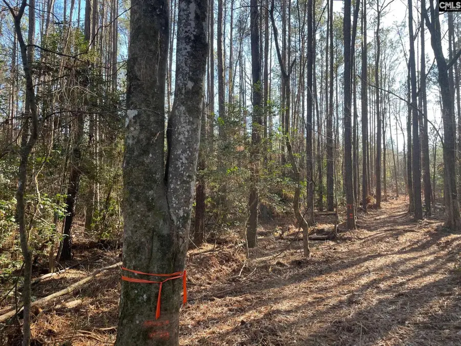 Lot 3 Houston Road, Prosperity, SC 29127 - Image #2