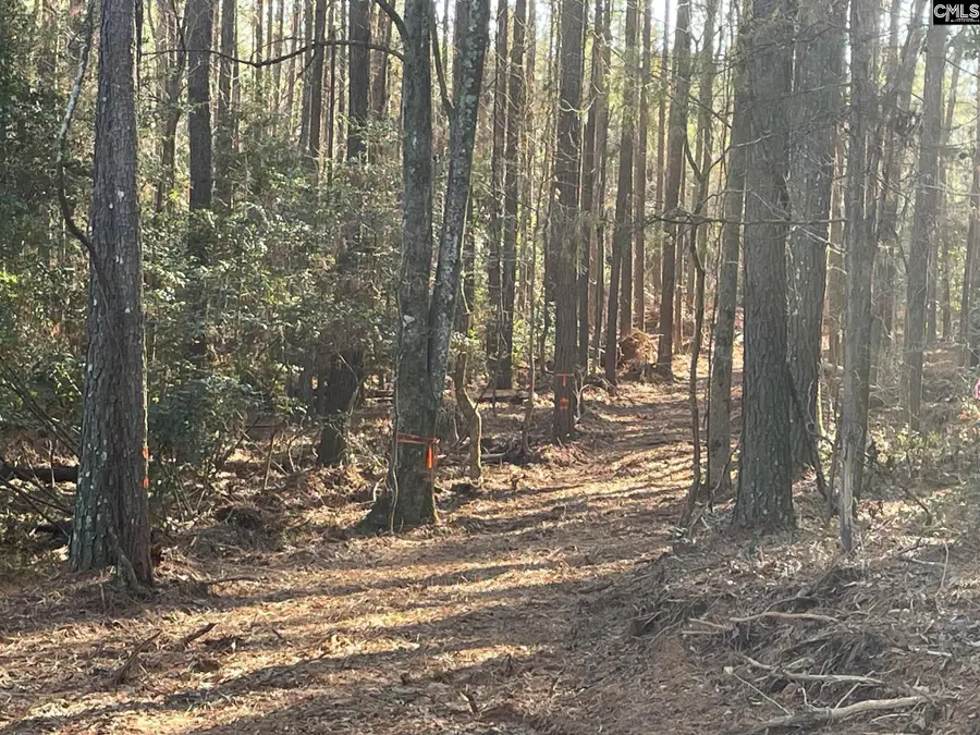 Lot 3 Houston Road, Prosperity, SC 29127 - Image #3