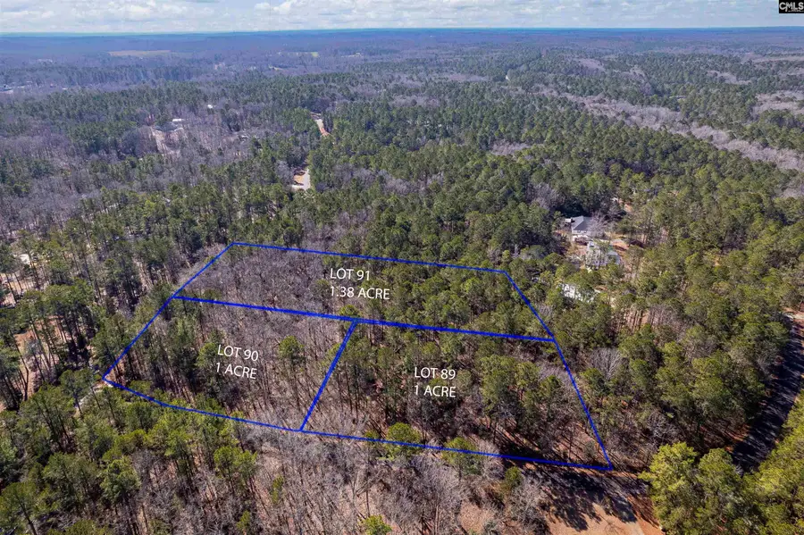 Little Saluda Lane, Batesburg, SC 29006 - Image #2