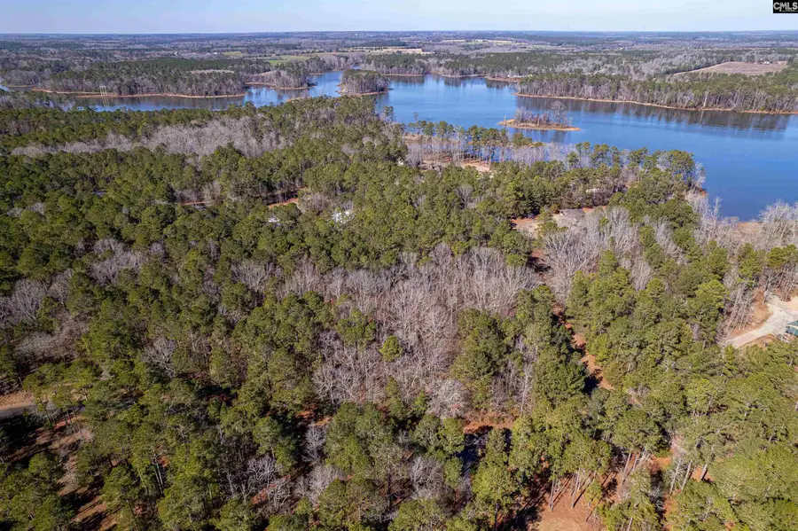 Little Saluda Lane, Batesburg, SC 29006 - Image #3