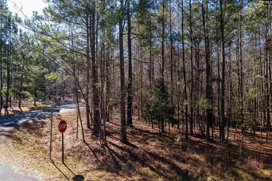 1115 Scooter Bridge Road, Batesburg, SC 29006 - Image #2