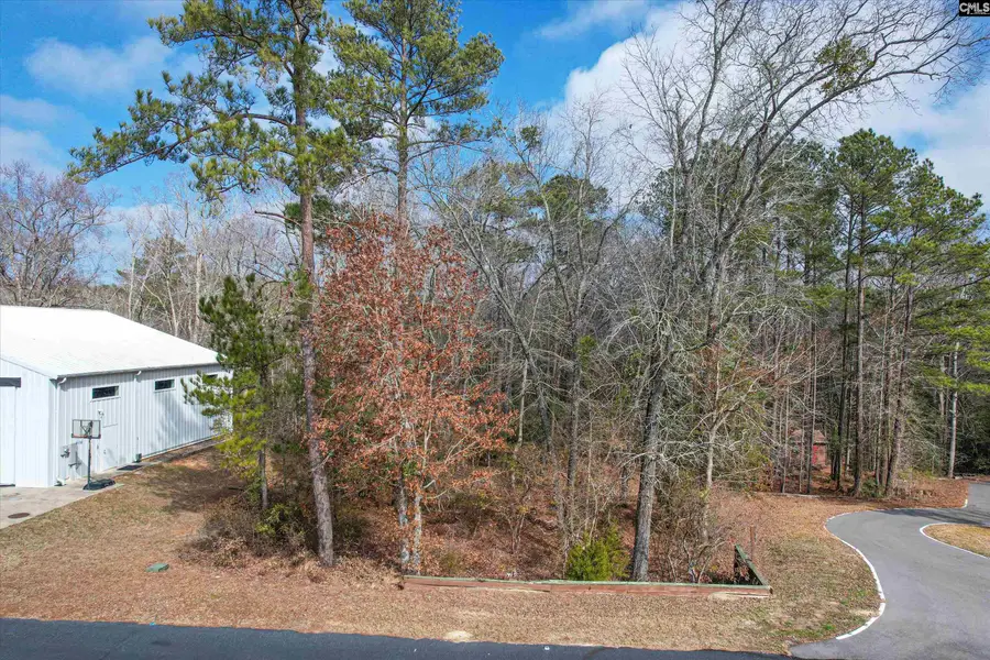 206 Cirrus Way, Gilbert, SC 29054 - Image #3