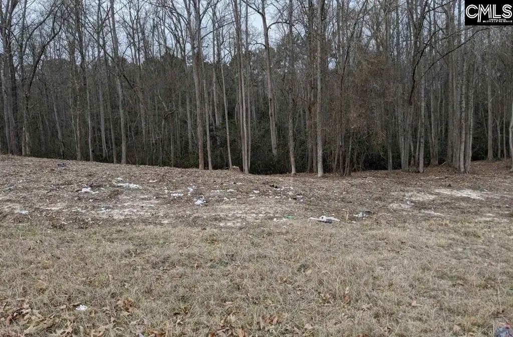 2232 H S Highway 1 Highway, Elgin, SC 29045 - Image #1