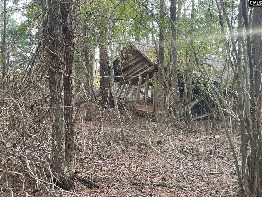 TRACT 2 Sc Highway 219, Pomaria, SC 29126 - Image #3