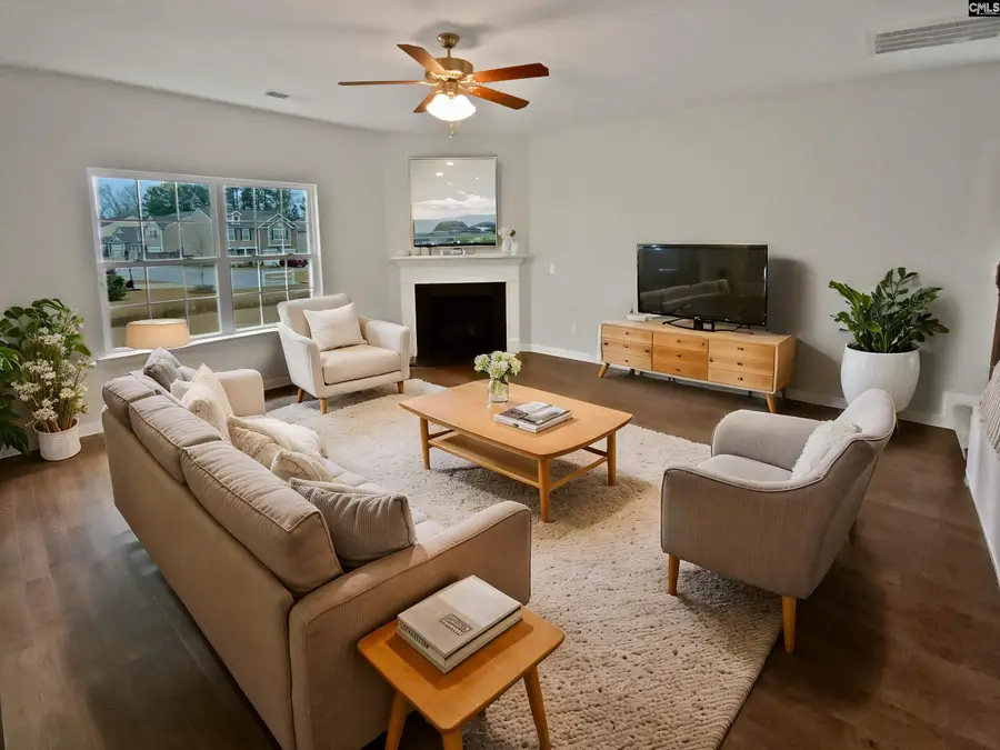 873 Sunseeker Drive, Chapin, SC 29036 - Image #2