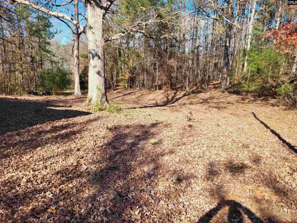 320 Little Ranches Road, Newberry, SC 29108