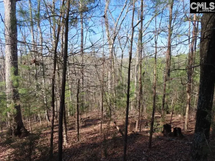 0 Sc 200 Highway, Winnsboro, SC 29180 - Image #1