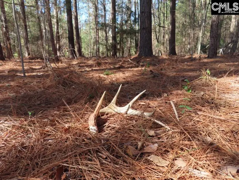 0 Sc 200 Highway, Winnsboro, SC 29180 - Image #2