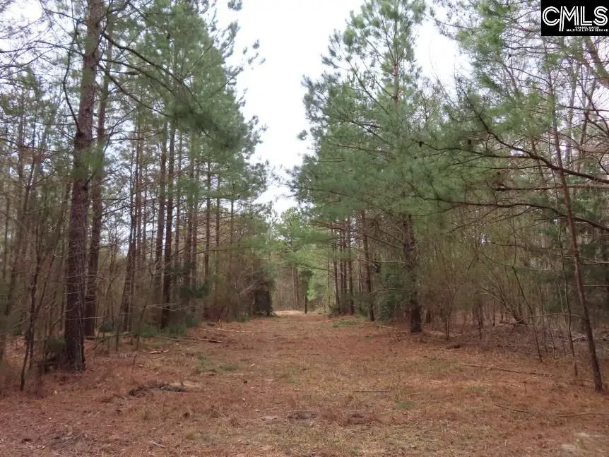 0 Sc 200 Highway, Winnsboro, SC 29180 - Image #3