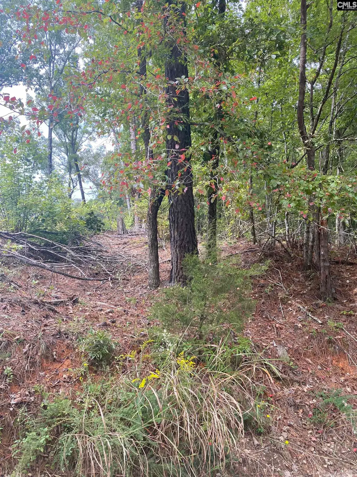 none Claude Bundrick, Blythewood, SC 29016 - Image #1