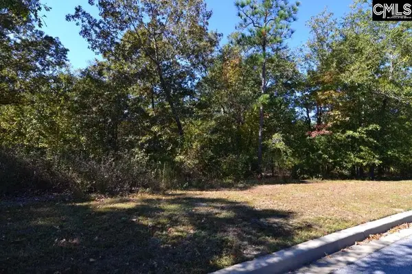 121 Montgomery Ridge Lane, Blythewood, SC 29016