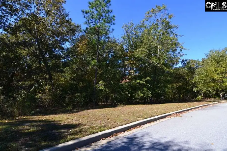 121 Montgomery Ridge Lane, Blythewood, SC 29016 - Image #2