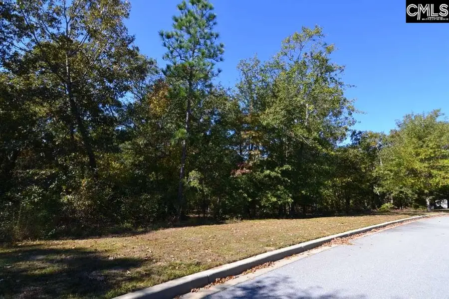 121 Montgomery Ridge Lane, Blythewood, SC 29016 - Image #3