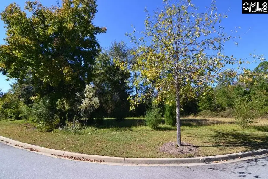 15 Blythe View Court, Blythewood, SC 29016 - Image #2