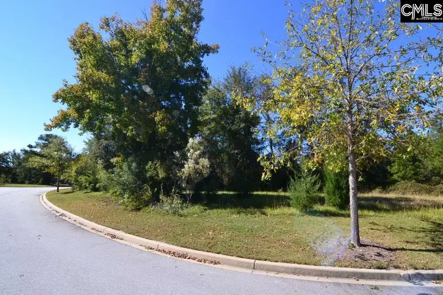 15 Blythe View Court, Blythewood, SC 29016 - Image #3