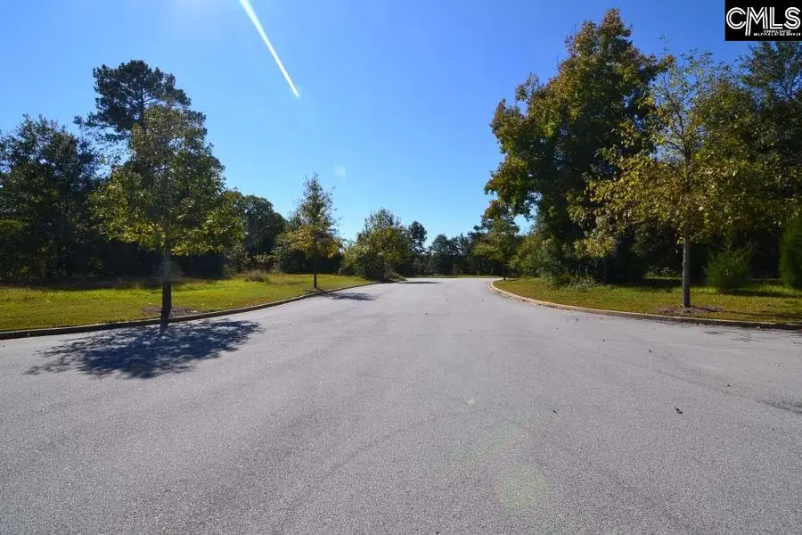 2 Blythe View Court, Blythewood, SC 29016 - Image #2