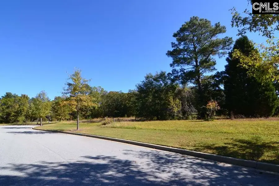 2 Blythe View Court, Blythewood, SC 29016 - Image #3