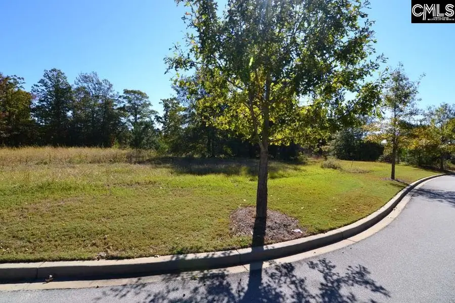 10 Blythe View Court, Blythewood, SC 29016 - Image #2