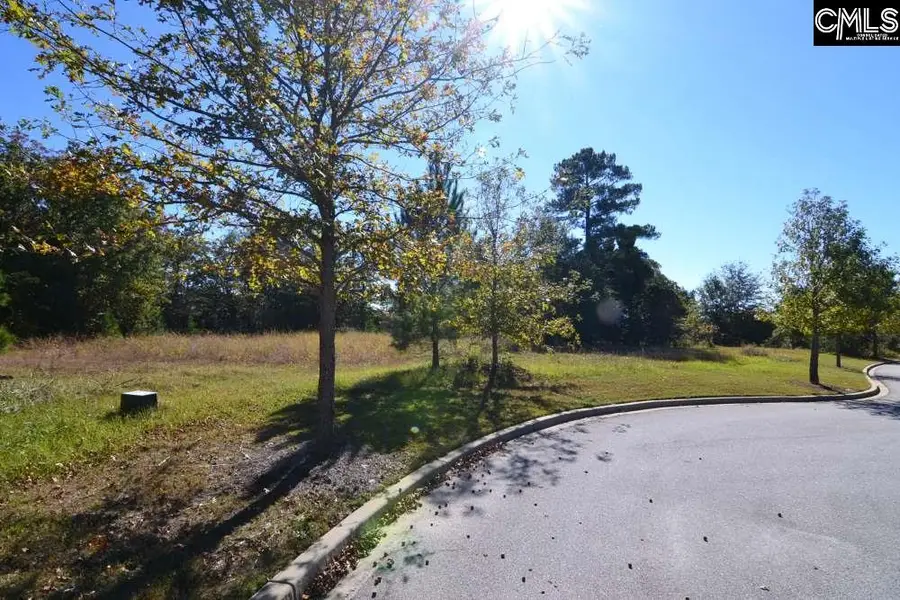 6 Blythe View Court, Blythewood, SC 29016 - Image #2