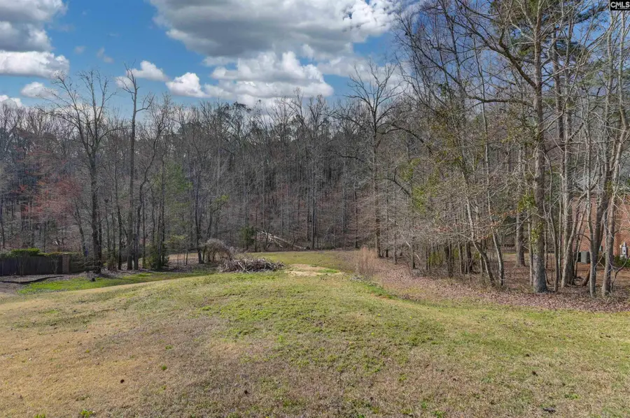 228 Winding Oak Way, Blythewood, SC 29016 - Image #2