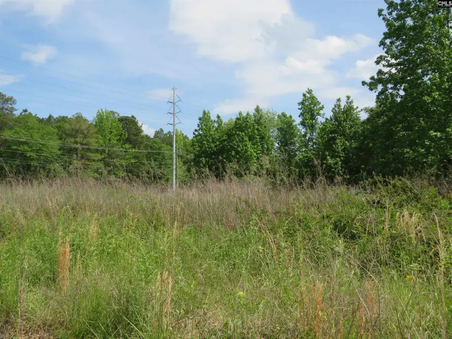 220 Cedarcrest Drive, Lexington, SC 29072 - #3