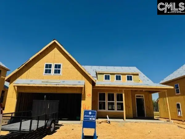 319 Rising Stream Way, Chapin, SC 29036