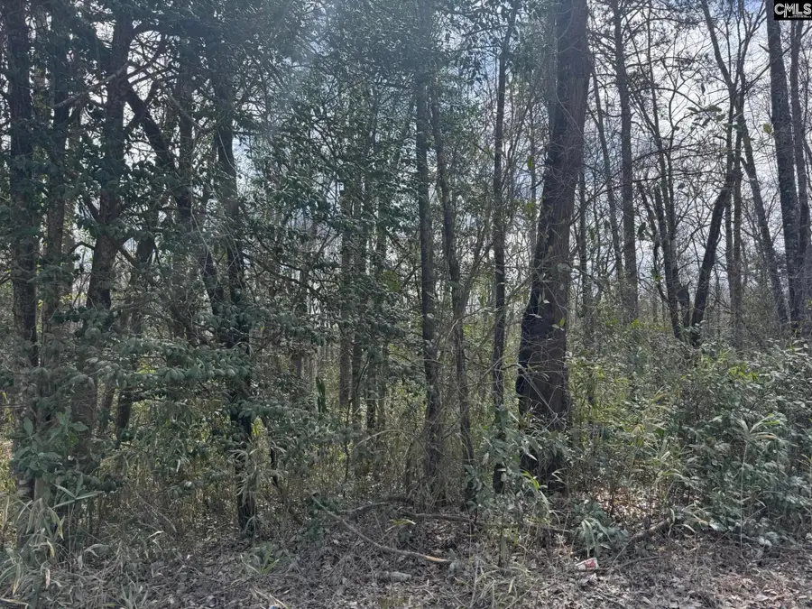 1230 Goffman Road, Eastover, SC 29044 - Image #2