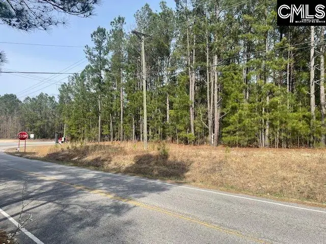 W/S Rabon Road, Columbia, SC 29223 - Image #1