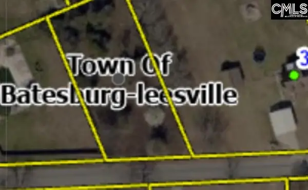 TBD Liberty Street, Batesburg, SC 29006