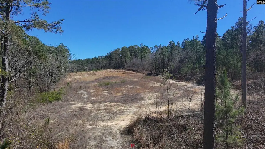 699 Crystal Springs Drive, Lexington, SC 29073 - #2