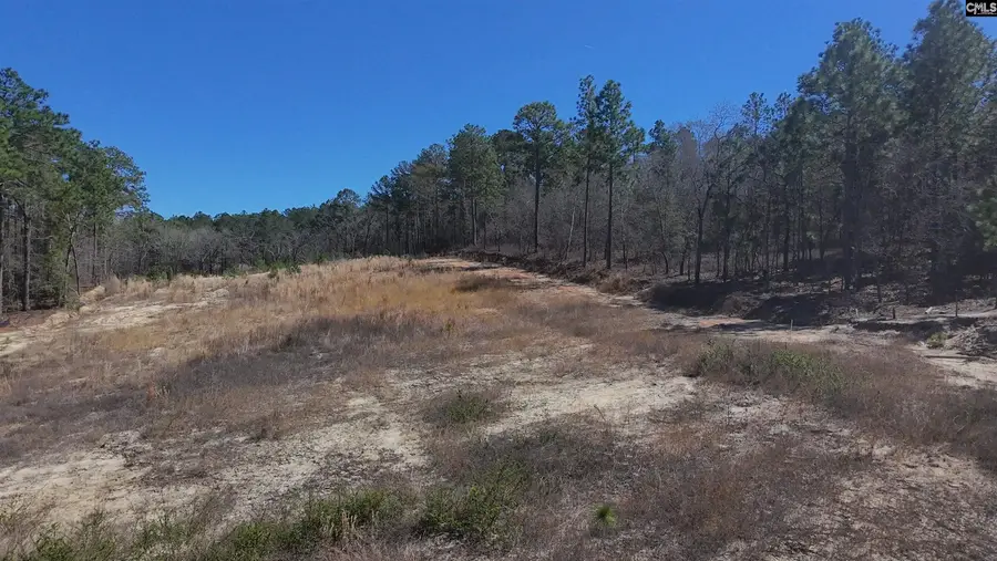 699 Crystal Springs Drive, Lexington, SC 29073 - #3