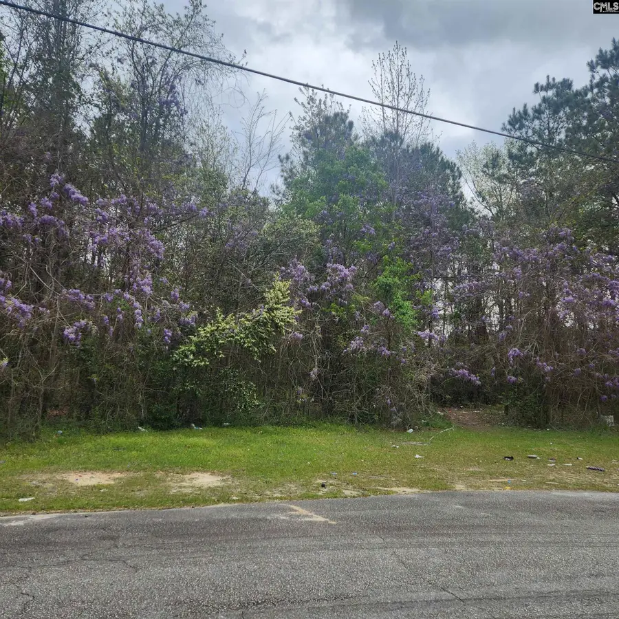 6430 Norris Street, Columbia, SC 29209 - #2