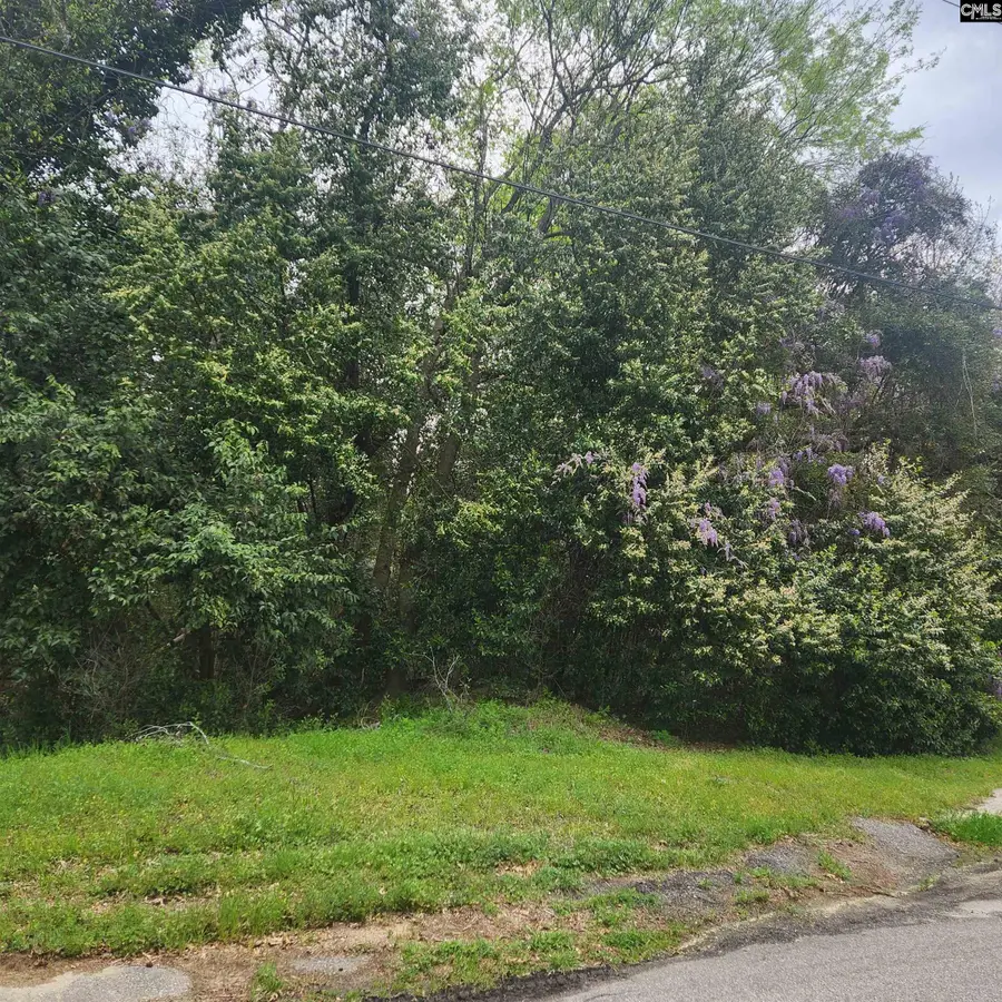 6430 Norris Street, Columbia, SC 29209 - #3