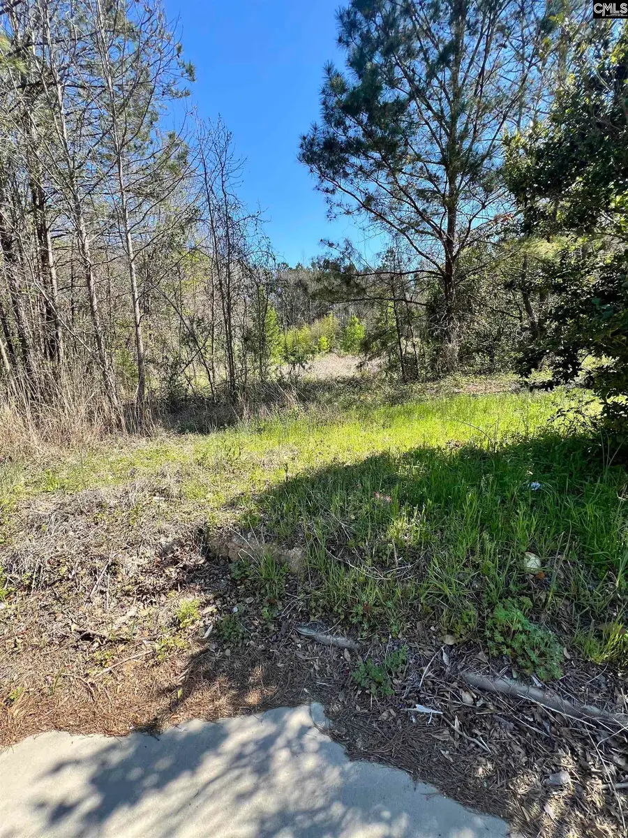 W S Wakefield Rd, Columbia, SC 29203 - Image #3