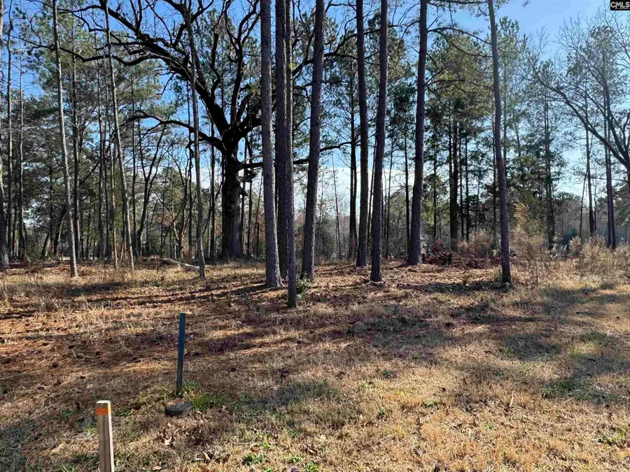 Misty Banks Drive, Chapin, SC 29036 - Image #3