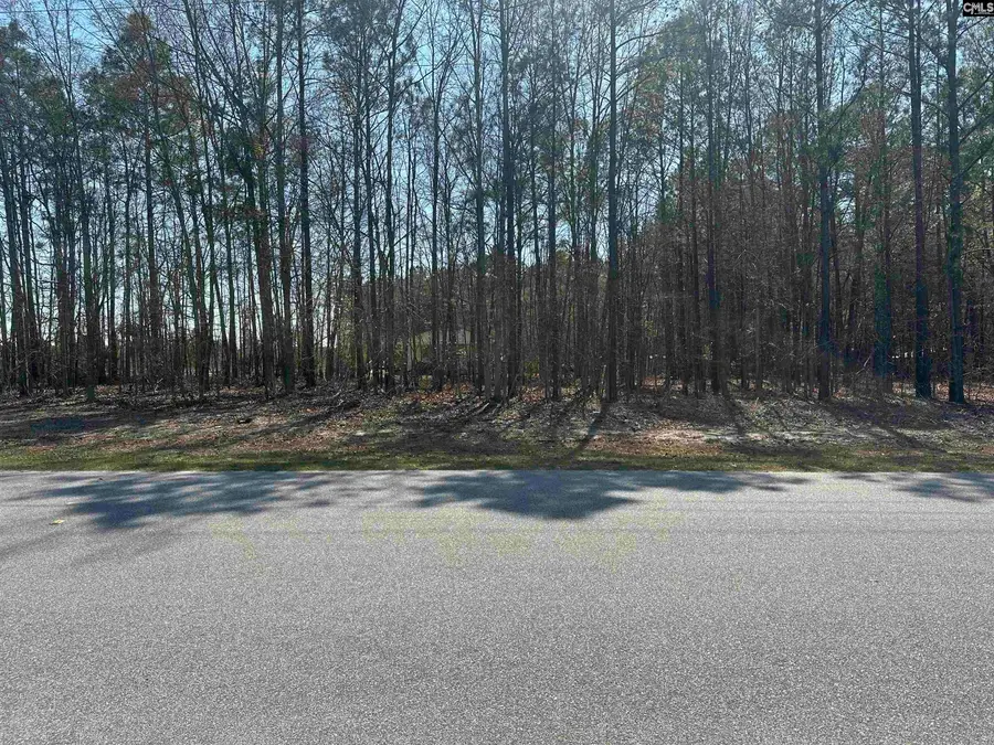 401 Inwood Street, Bethune, SC 29009 - Image #2