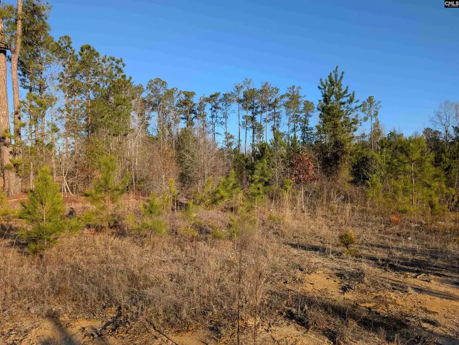 7884 Winnsboro Road, Columbia, SC 29203 - Image #2