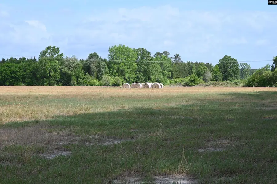 TBD Gallowaytown Road, Hartsville, SC 29550 - Image #3
