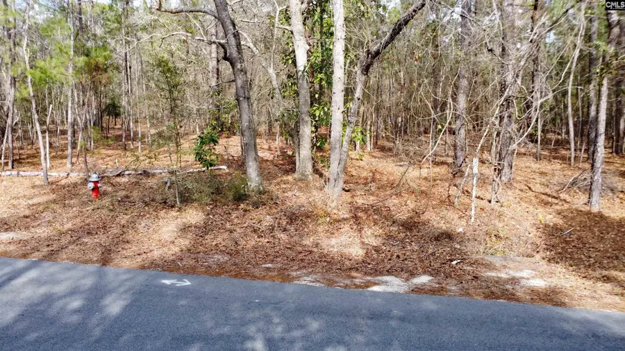 Timberline Dr Lot B, Pontiac, SC 29229 - Image #3