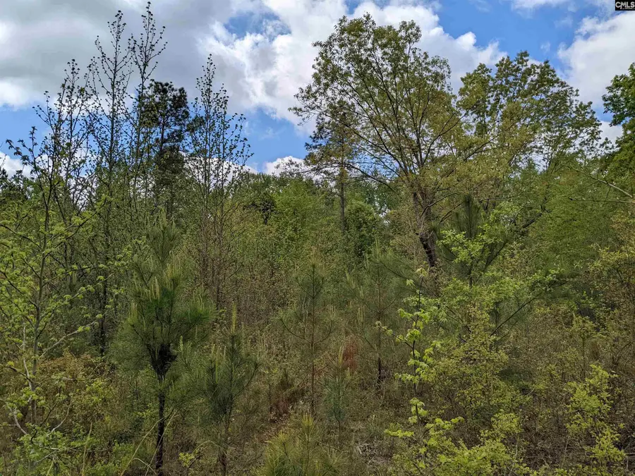 2206 Highway 1, Elgin, SC 29045 - Image #3