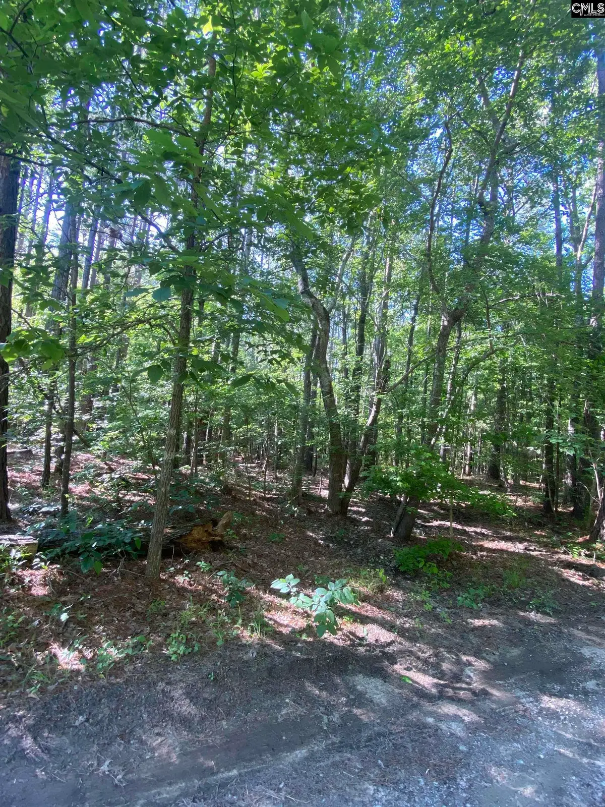 189 Smith Young Road, Blythewood, SC 29016 - Image #1